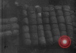 Image of Japanese fighter planes Pearl Harbor Pearl Harbor Hawaii USA, 1941, second 25 stock footage video 65675080627