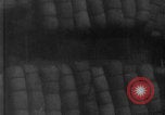 Image of Japanese fighter planes Pearl Harbor Pearl Harbor Hawaii USA, 1941, second 26 stock footage video 65675080627