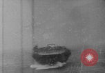 Image of Japanese fighter planes Pearl Harbor Pearl Harbor Hawaii USA, 1941, second 40 stock footage video 65675080627