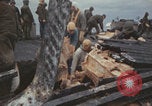 Image of USS Saratoga sailors clearing debris Pacific Ocean, 1945, second 26 stock footage video 65675080635