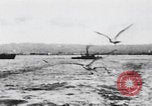 Image of San Francisco Bay San Francisco California USA, 1898, second 18 stock footage video 65675080645