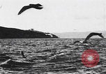 Image of San Francisco Bay San Francisco California USA, 1898, second 23 stock footage video 65675080645