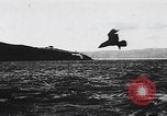 Image of San Francisco Bay San Francisco California USA, 1898, second 25 stock footage video 65675080645
