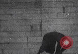 Image of boy doing acrobatic stunts New York City USA, 1898, second 3 stock footage video 65675080653