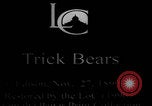 Image of trained bears perform tricks United States USA, 1899, second 2 stock footage video 65675080665