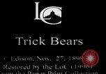 Image of trained bears perform tricks United States USA, 1899, second 3 stock footage video 65675080665