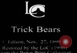Image of trained bears perform tricks United States USA, 1899, second 6 stock footage video 65675080665