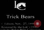 Image of trained bears perform tricks United States USA, 1899, second 7 stock footage video 65675080665