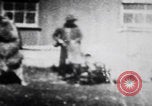 Image of trained bears perform tricks United States USA, 1899, second 10 stock footage video 65675080665