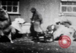 Image of trained bears perform tricks United States USA, 1899, second 12 stock footage video 65675080665