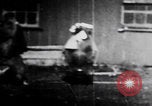 Image of trained bears perform tricks United States USA, 1899, second 18 stock footage video 65675080665