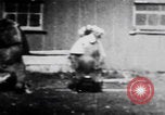 Image of trained bears perform tricks United States USA, 1899, second 20 stock footage video 65675080665