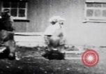 Image of trained bears perform tricks United States USA, 1899, second 22 stock footage video 65675080665