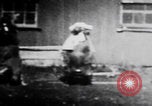 Image of trained bears perform tricks United States USA, 1899, second 23 stock footage video 65675080665