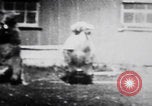 Image of trained bears perform tricks United States USA, 1899, second 24 stock footage video 65675080665