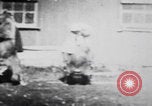 Image of trained bears perform tricks United States USA, 1899, second 26 stock footage video 65675080665