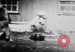 Image of trained bears perform tricks United States USA, 1899, second 27 stock footage video 65675080665