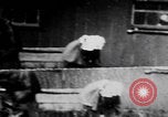 Image of trained bears perform tricks United States USA, 1899, second 29 stock footage video 65675080665