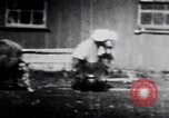 Image of trained bears perform tricks United States USA, 1899, second 31 stock footage video 65675080665