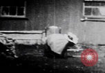 Image of trained bears perform tricks United States USA, 1899, second 32 stock footage video 65675080665