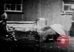 Image of trained bears perform tricks United States USA, 1899, second 33 stock footage video 65675080665