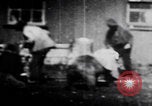 Image of trained bears perform tricks United States USA, 1899, second 34 stock footage video 65675080665