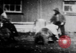 Image of trained bears perform tricks United States USA, 1899, second 35 stock footage video 65675080665