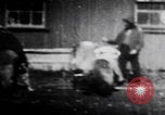 Image of trained bears perform tricks United States USA, 1899, second 36 stock footage video 65675080665