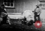 Image of trained bears perform tricks United States USA, 1899, second 37 stock footage video 65675080665
