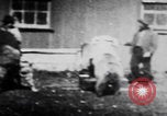 Image of trained bears perform tricks United States USA, 1899, second 38 stock footage video 65675080665
