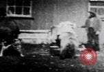 Image of trained bears perform tricks United States USA, 1899, second 39 stock footage video 65675080665
