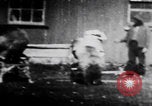 Image of trained bears perform tricks United States USA, 1899, second 40 stock footage video 65675080665