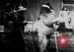 Image of trained bears perform tricks United States USA, 1899, second 46 stock footage video 65675080665