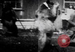 Image of trained bears perform tricks United States USA, 1899, second 48 stock footage video 65675080665