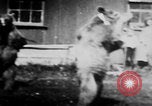 Image of trained bears perform tricks United States USA, 1899, second 49 stock footage video 65675080665