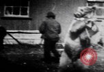 Image of trained bears perform tricks United States USA, 1899, second 50 stock footage video 65675080665