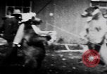 Image of trained bears perform tricks United States USA, 1899, second 55 stock footage video 65675080665
