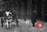 Image of Automobile Club of America first parade United States USA, 1899, second 48 stock footage video 65675080674