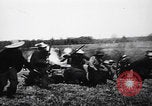 Image of British forces capture prisoners South Africa, 1900, second 61 stock footage video 65675080688