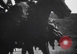Image of Boer cavalry charging South Africa, 1900, second 27 stock footage video 65675080689