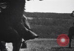 Image of Boer cavalry charging South Africa, 1900, second 30 stock footage video 65675080689