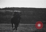 Image of Boer cavalry charging South Africa, 1900, second 34 stock footage video 65675080689