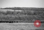Image of Second Boer War South Africa, 1900, second 9 stock footage video 65675080691