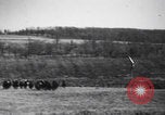 Image of Second Boer War South Africa, 1900, second 10 stock footage video 65675080691