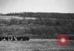Image of Second Boer War South Africa, 1900, second 11 stock footage video 65675080691