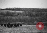 Image of Second Boer War South Africa, 1900, second 12 stock footage video 65675080691