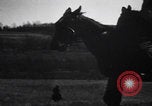Image of Second Boer War South Africa, 1900, second 30 stock footage video 65675080691