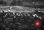Image of English lancers capture battery South Africa, 1900, second 15 stock footage video 65675080693