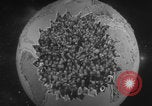 Image of Soviet communism United States USA, 1961, second 4 stock footage video 65675080694