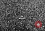 Image of Soviet communism United States USA, 1961, second 31 stock footage video 65675080694